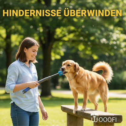 SnackStick – Der ausziehbare Leckerli-Trainer