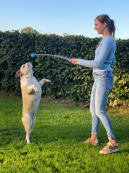 SnackStick – Der ausziehbare Leckerli-Trainer