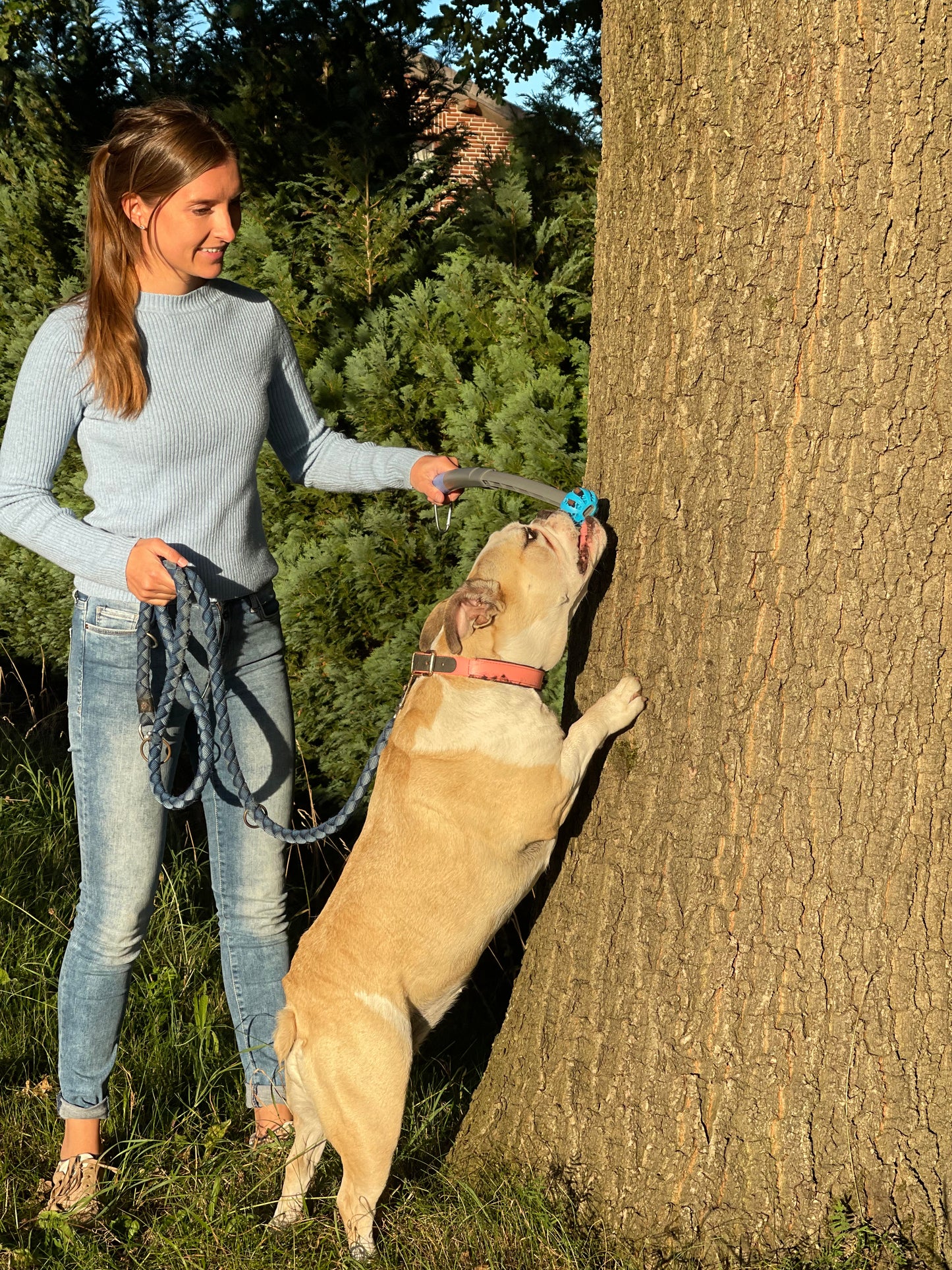 SnackStick – Der ausziehbare Leckerli-Trainer