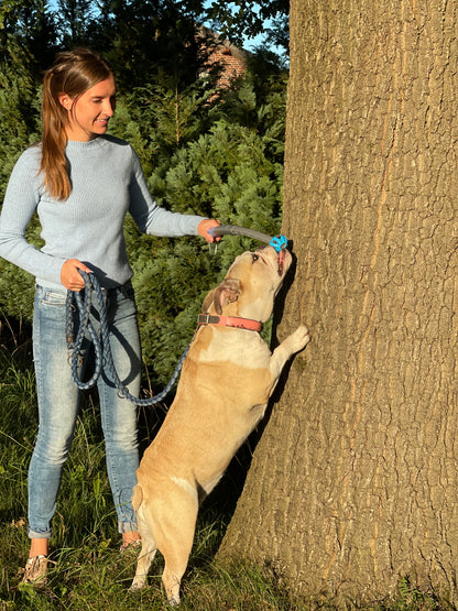 SnackStick – Der ausziehbare Leckerli-Trainer