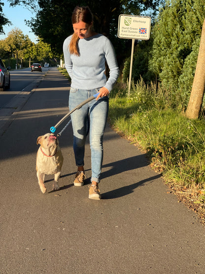 SnackStick – Der ausziehbare Leckerli-Trainer