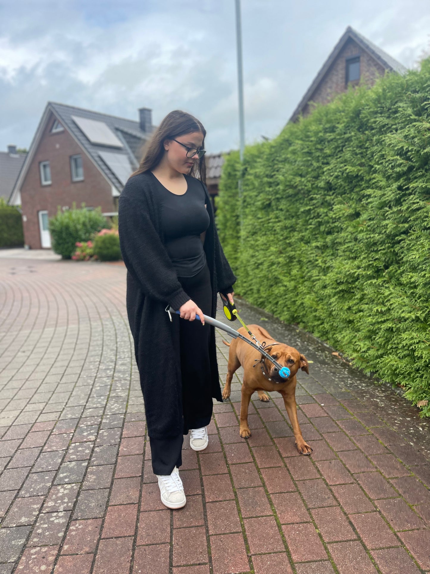 SnackStick – Der ausziehbare Leckerli-Trainer