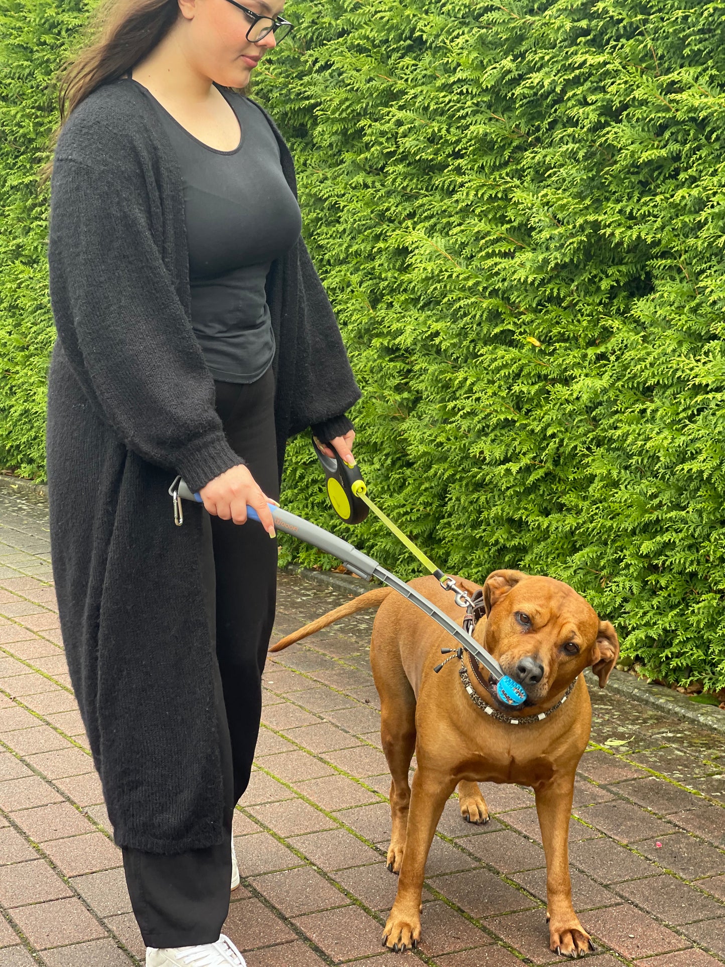 SnackStick – Der ausziehbare Leckerli-Trainer