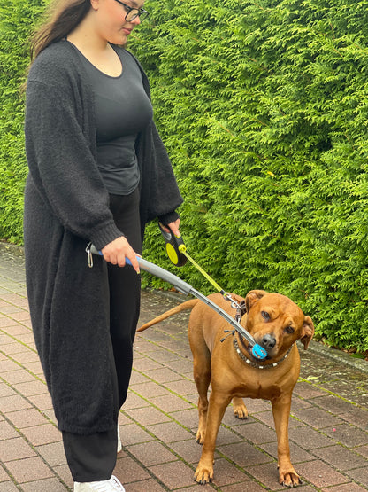 SnackStick – Der ausziehbare Leckerli-Trainer