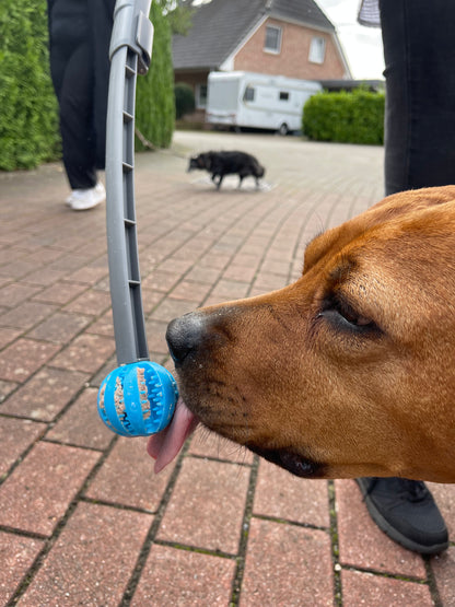 SnackStick – Der ausziehbare Leckerli-Trainer