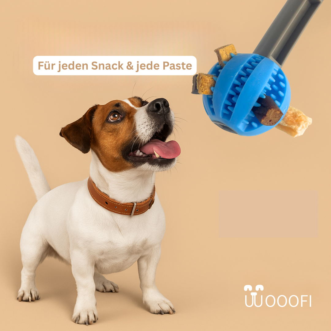 SnackStick – Der ausziehbare Leckerli-Trainer