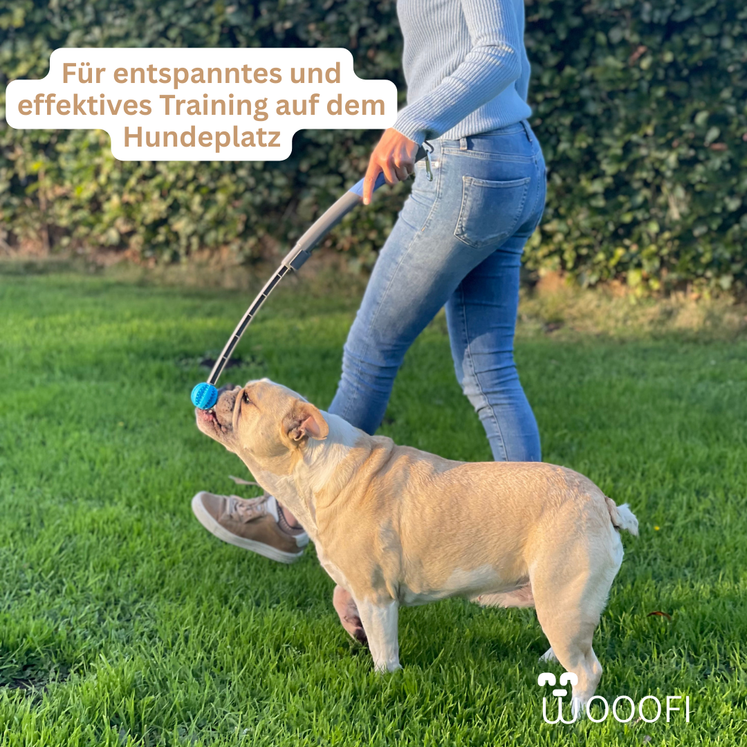 SnackStick – Der ausziehbare Leckerli-Trainer