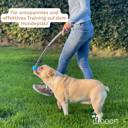 SnackStick – Der ausziehbare Leckerli-Trainer