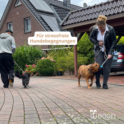 SnackStick – Der ausziehbare Leckerli-Trainer